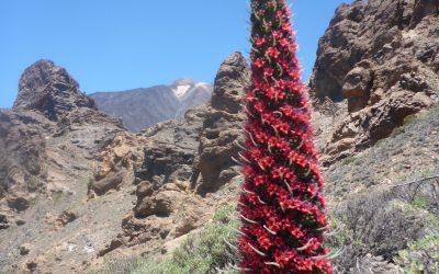 Wanderung Los Roques