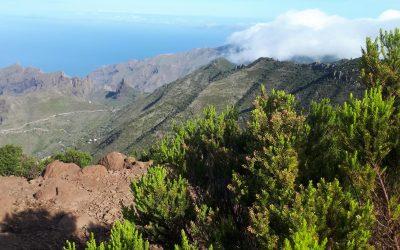 Wanderung Gala & Teno-Gebirge 10.06.20