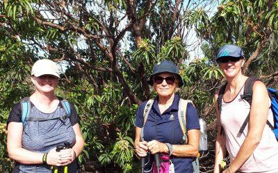 Wanderung Tegueste Bajamar