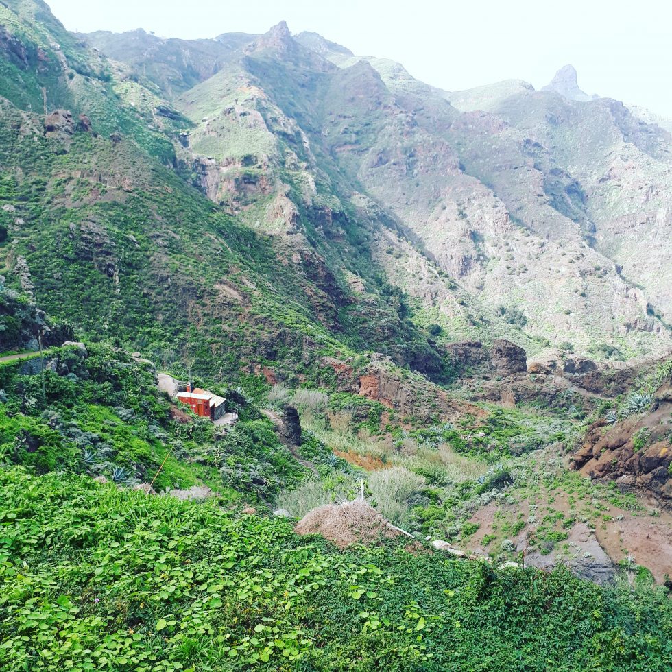 Wanderung in den Barranco de Afur zur Playa de Tamadite