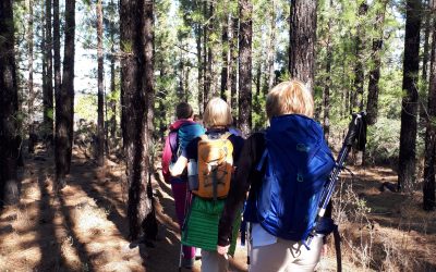 Wanderung um den Chinyero