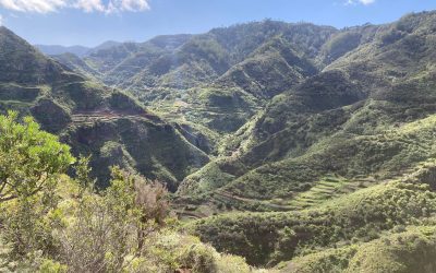 Wanderung Punta del Hidalgo-Batán