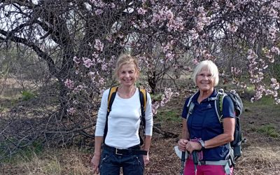 Wandern in Santiago del Teide