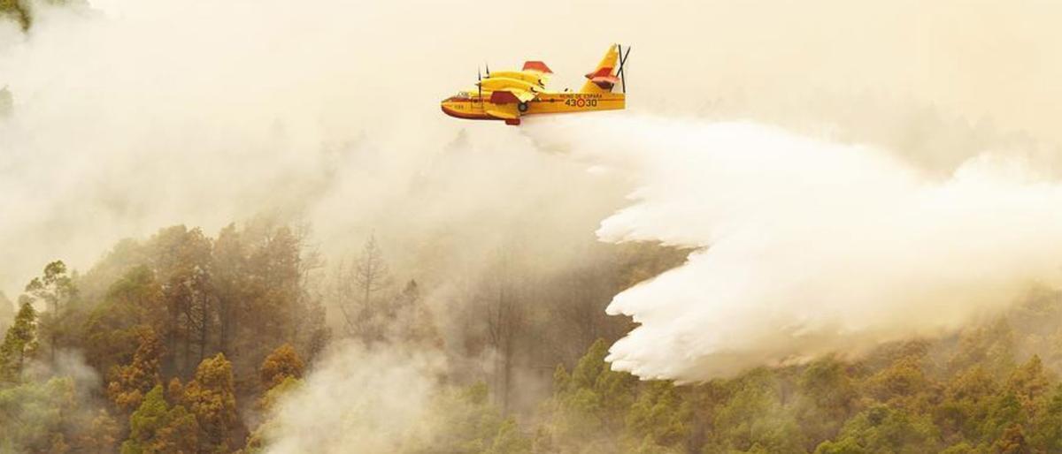 Waldbrände auf Teneriffa