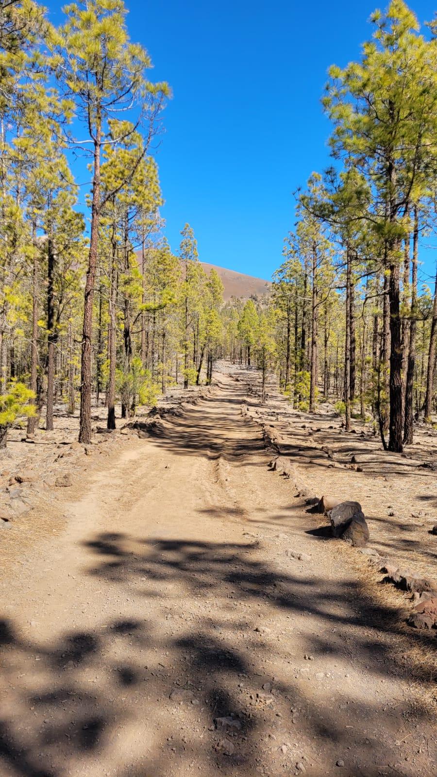 Wanderweg in die Paisaje Lunar, Mondlandscgaft bei Vilaflor