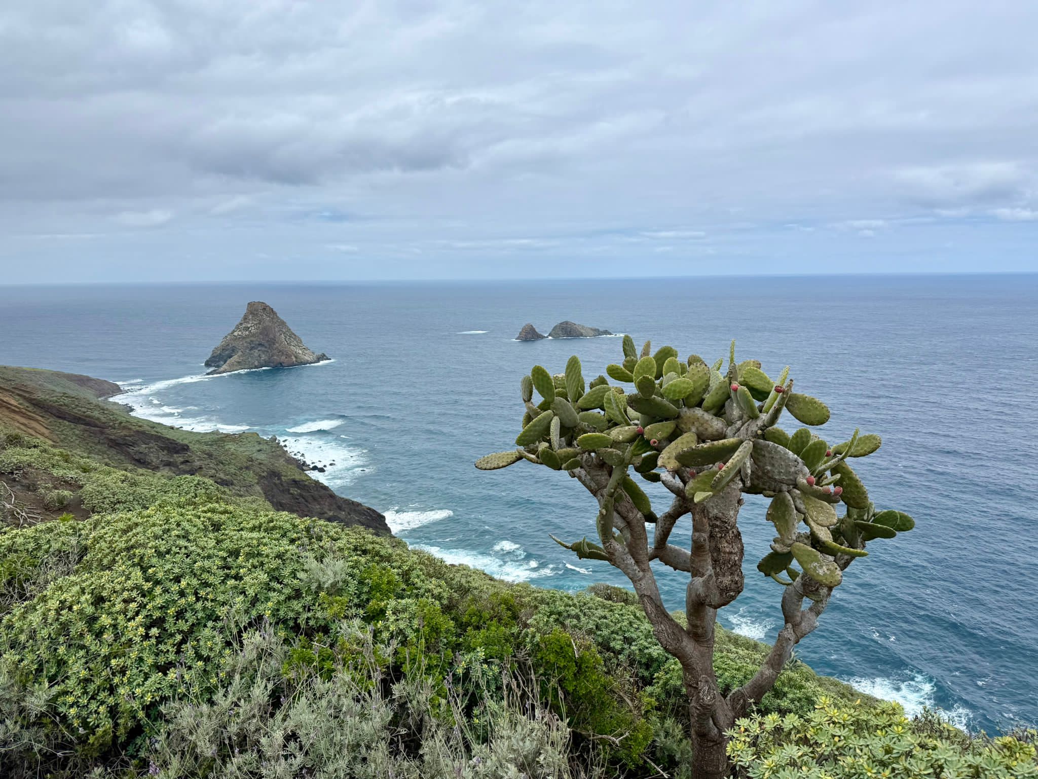 Roques und Faro de Anaga