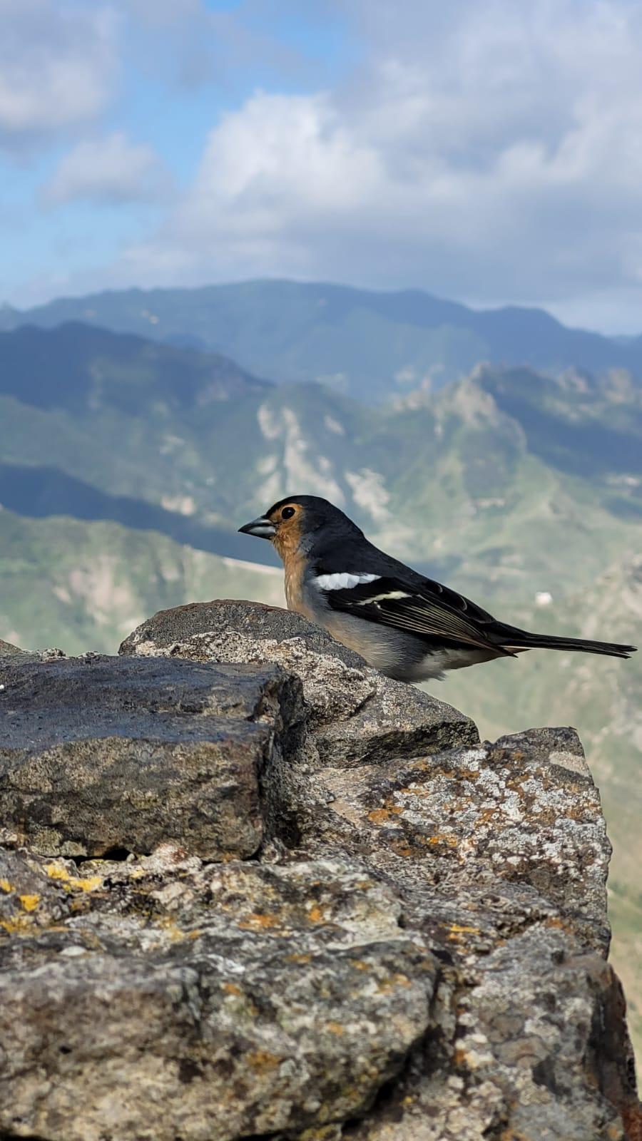 Wandern von der Albergue Montes de Anaga