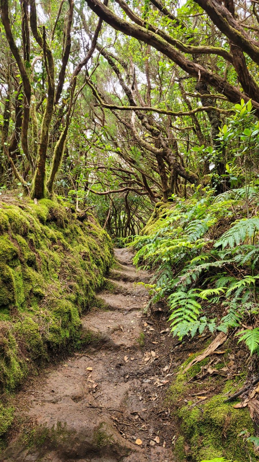 Wandern von der Albergue Montes de Anaga